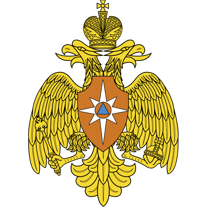 ООО "ФЛАЙСТАР" logo
